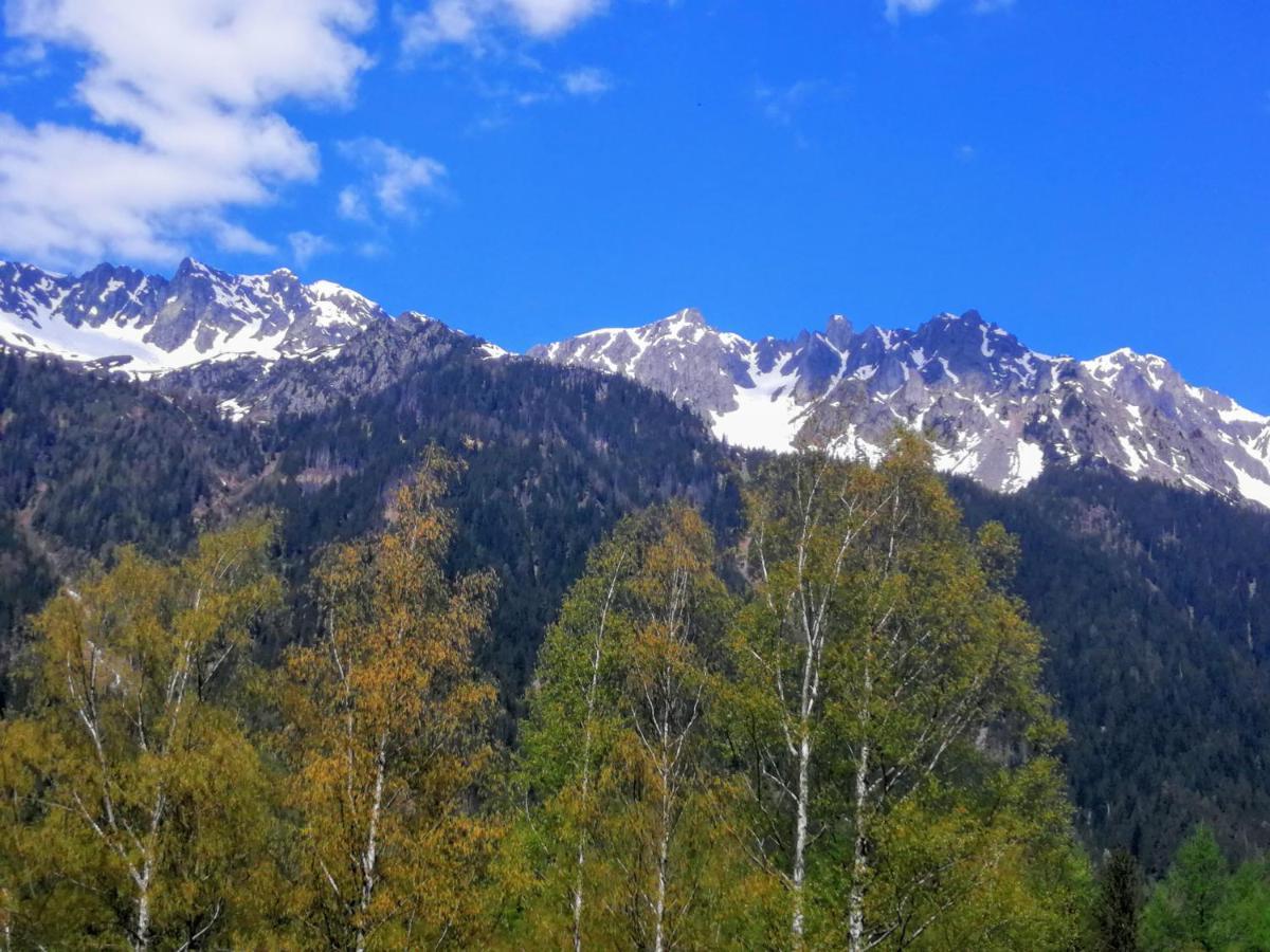 بيت شباب Le Chamoniard Volant شامونكس المظهر الخارجي الصورة